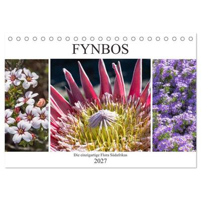 Fynbos - Die einzigartige Flora Südafrikas (Tischkalender 2027 DIN A5 quer), CALVENDO Monatskalender