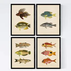 POSTER Set mit 4 Kara 10 verschiedenen Fischen A4 Rahmenlos