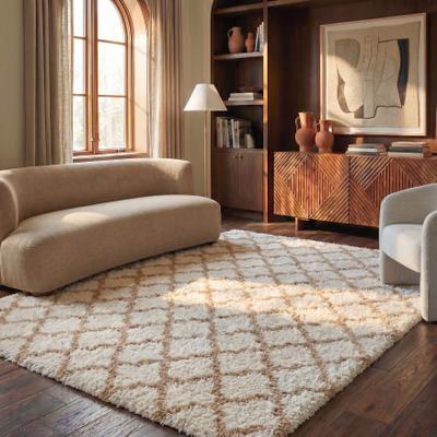 SAFAVIEH Indie Shag Humeyra 2-inch Thick Rug