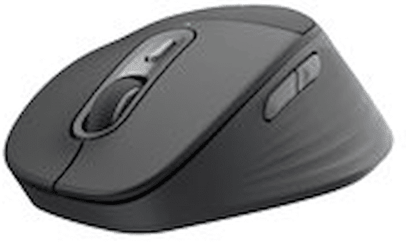 LOGITECH M850 L for Business, Graphite