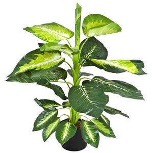 Decovego Kunstpflanze Dieffenbachie, im Topf, Höhe 75 cm