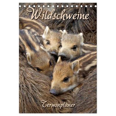 Wildschweine (Tischkalender 2027 DIN A5 hoch), CALVENDO Monatskalender