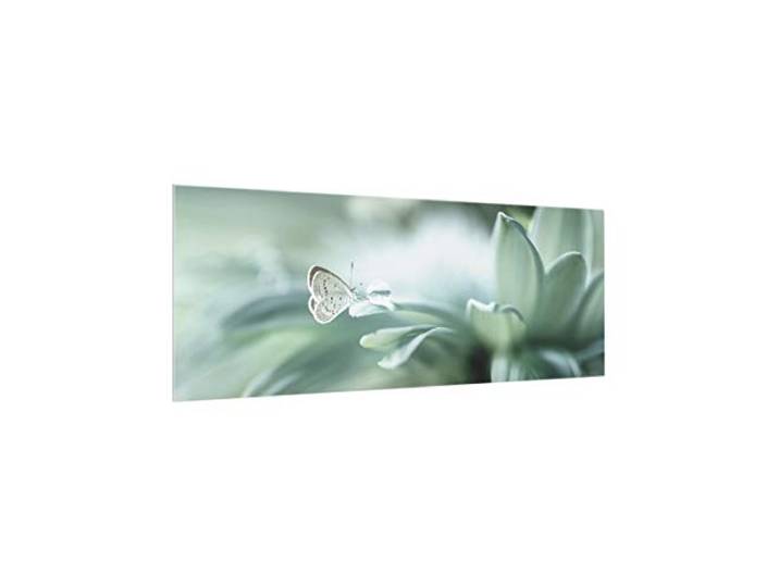 Bilderwelten Spritzschutz Glas Schmetterling & Tautropfen in Pastellgrün Panorama, 40x100 cm