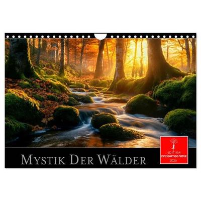 Mystik der Wälder (Wandkalender 2026 DIN A4 quer), CALVENDO Monatskalender