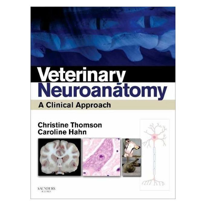Elsevier Veterinary Neuroanatomy (Englisch, Caroline Hahn, Christine E Thomson) (41987221)