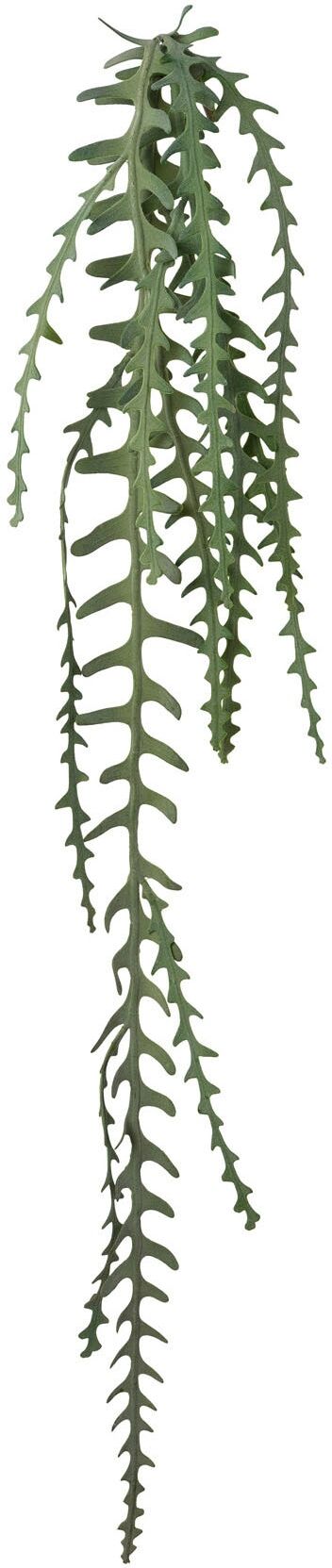 Kunstgirlande CREATIV GREEN "Epiphyllumranke", grün, L:131cm, Kunststoff, Kunstpflanzen, Kunstgirlande
