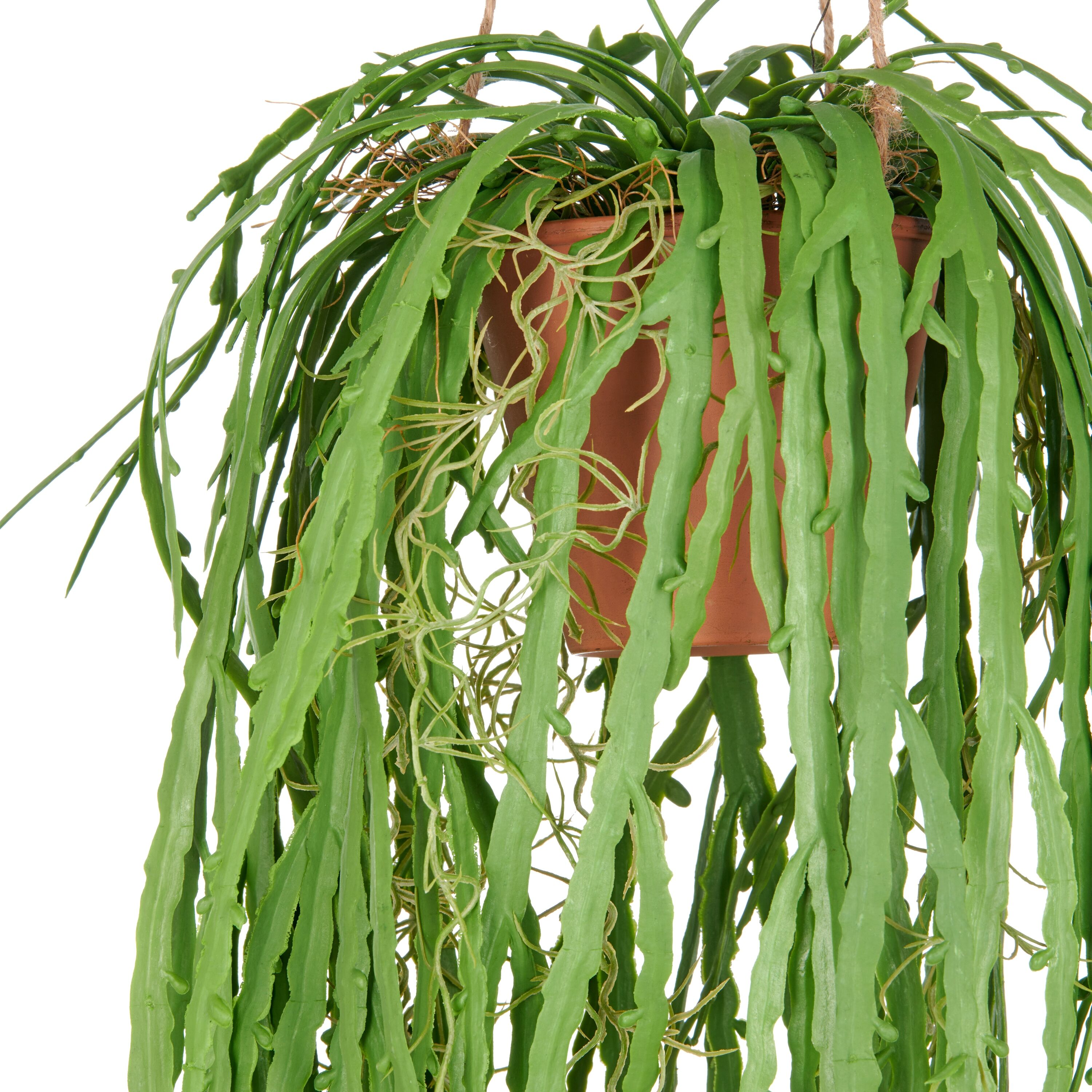 Kunstpflanze CREATIV GREEN "Hängende Rhipsalis crispata", grün, H:80cm, Kunststoff, Kunstpflanzen, Kunstpflanze, mit zahlreichen Ranken