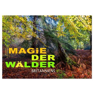 Magie der Wälder Britanniens (Wandkalender 2026 DIN A3 quer), CALVENDO Monatskalender