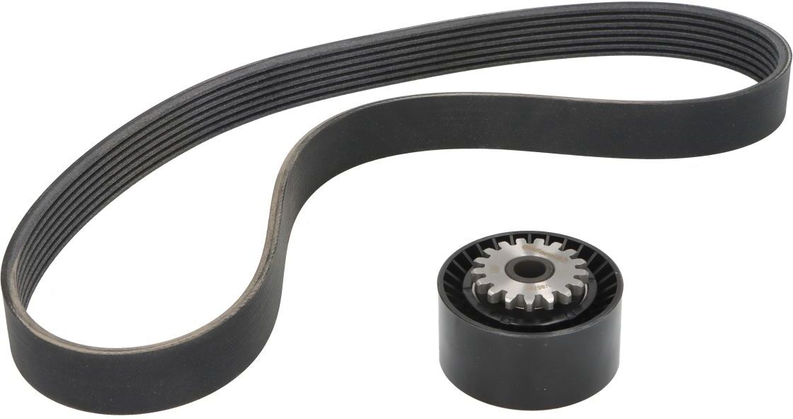 Continental Ctam Kit cinghie poly-V 7PK880K1
