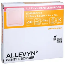 Allevyn Ge Bo 12,5x12,5 Sc