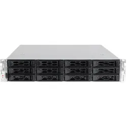 Bluechip SERVERline R42318s (16 GB, Rack Server), Server