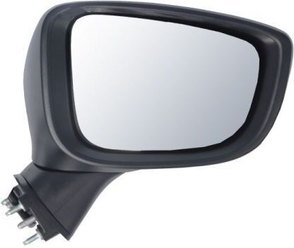 BLIC 5402-14-0741311P Wing mirror
