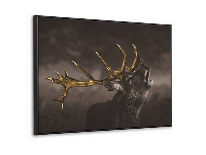 LEINWAND Bilder mit Rahmen - Rotwild - Schwarz - Gold - 100x70