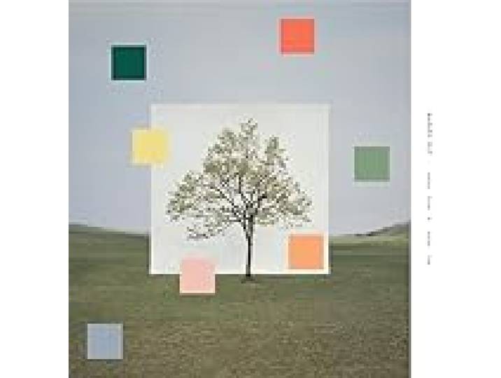 Notes from a Quiet Life - Vinyle Jaune Vert