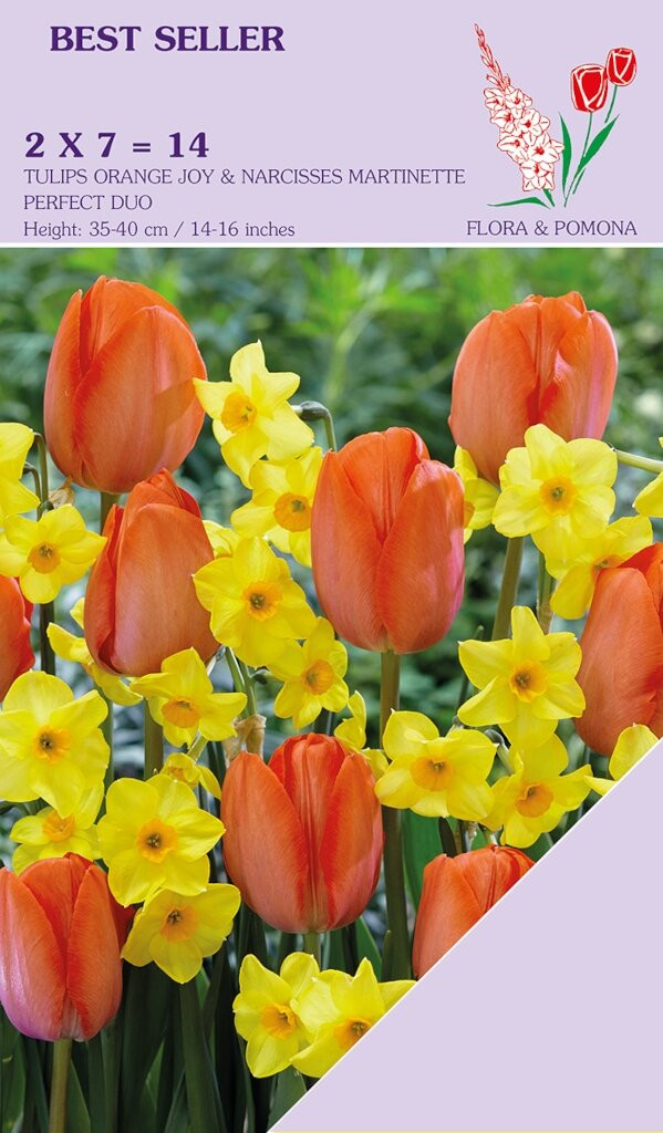 Set van 14 bloembollen Narcis Martinette en Tulp Orange Joy in geel en oranje
