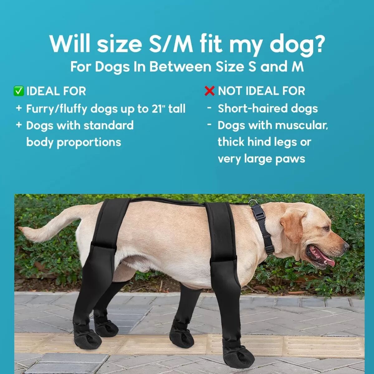 INF Pet Anti-Schmutz Outdoor Schuhe: Wasserdichter & Rutschfester Pfotenschutz für Hunde L