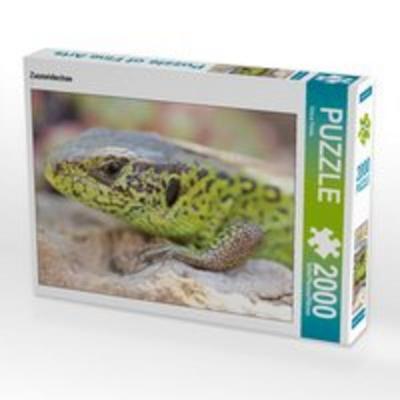 CALVENDO Puzzle Zauneidechse 2000 Teile Puzzle quer | 2000 Teile Lege-Größe 90 × 67 cm Foto-Puzzle für glückliche Stunden