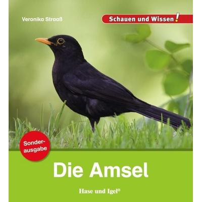 Die Amsel / Sonderausgabe, Geheftet von Veronika Straass, Hase und Igel Verlag, 978-3-86316-354-9