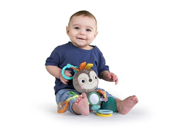 Bright Starts, Spielzeug für Den Kinderwagen, faultier - mit Rassel, Spiegel und Taggie Schlaufen