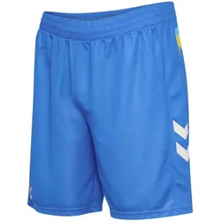 hummel 1. FC Köln Torwartshorts 2025/26 7545 - super sonic XXL