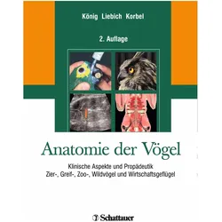 Anatomie der Vögel, Fachbücher von Rüdiger T. Korbel, Hans-Georg Liebich, Horst Erich König