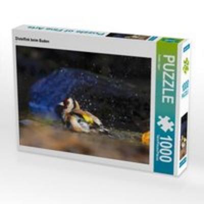 CALVENDO Puzzle Distelfink beim Baden 1000 Teile Lege-Größe 64 x 48 cm Foto-Puzzle Bild von Anette Jäger
