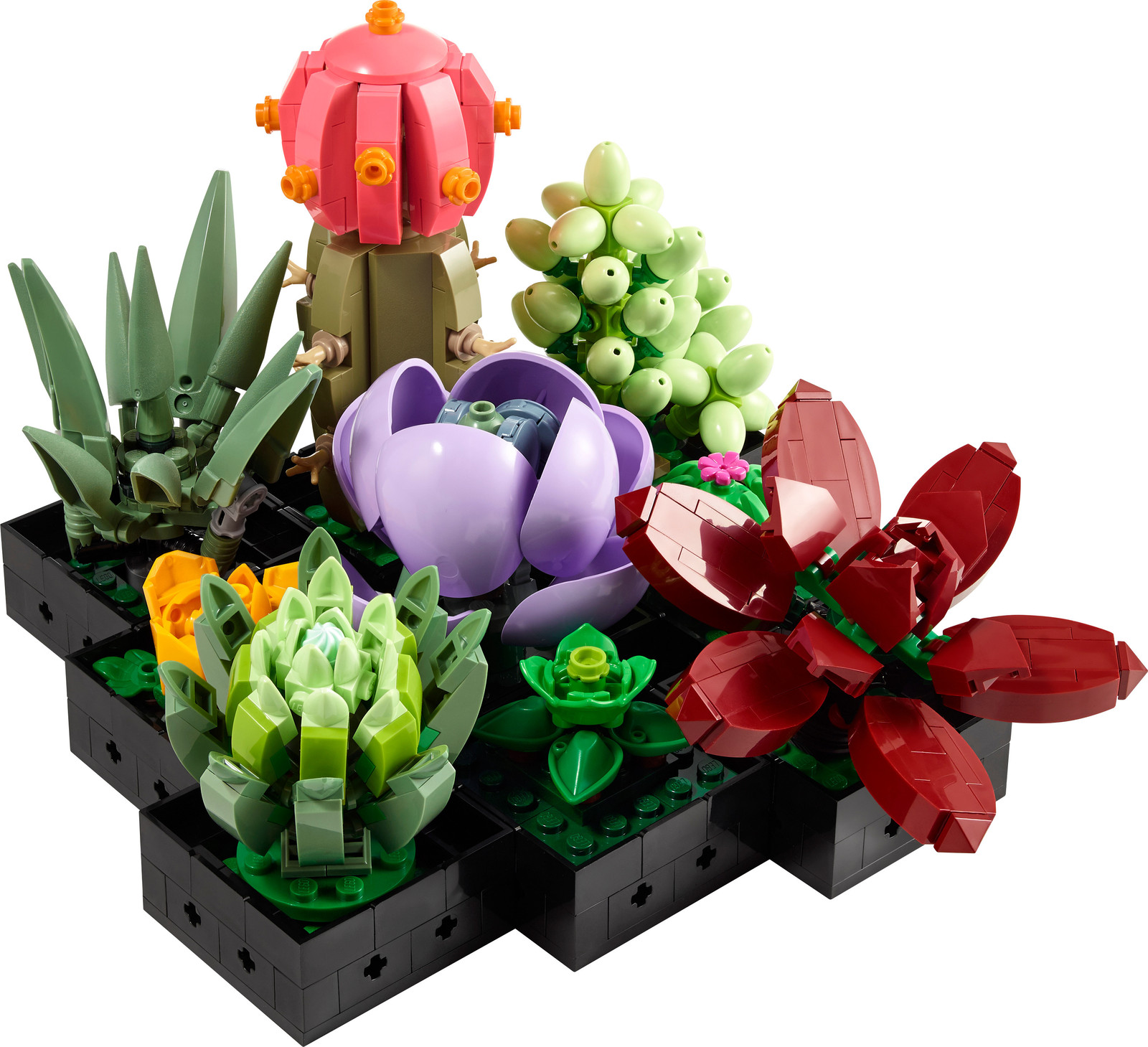 LEGO ICONS 10309 Succulenten bouwset