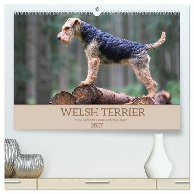 Welsh Terrier - treue Gefährten und vielseitige Jäger (hochwertiger Premium Wandkalender 2027 DIN A2 quer), Kunstdruck in Hochglanz