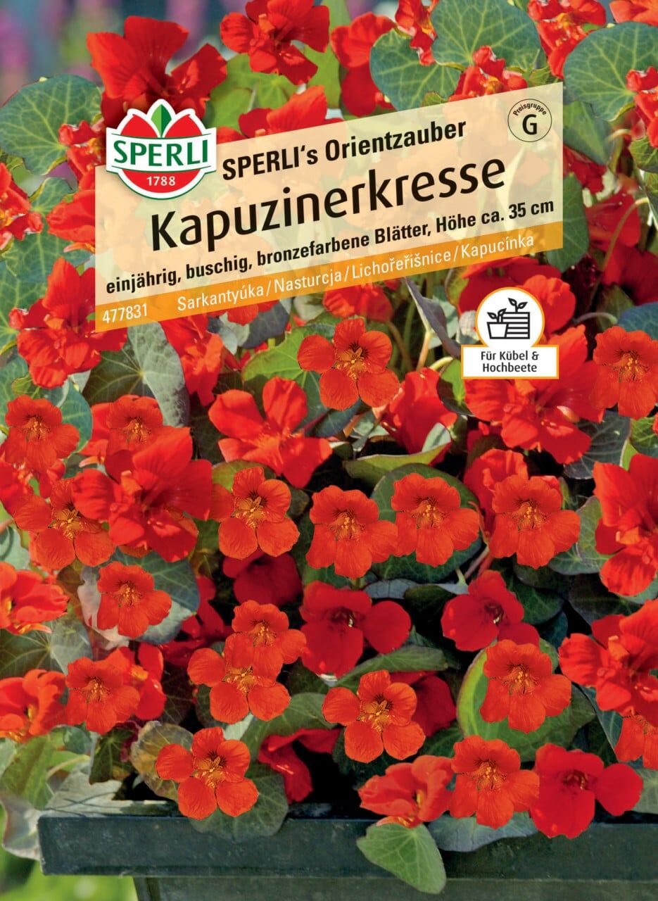 Sperli Kapuzinerkresse SPERLI's Orientzauber