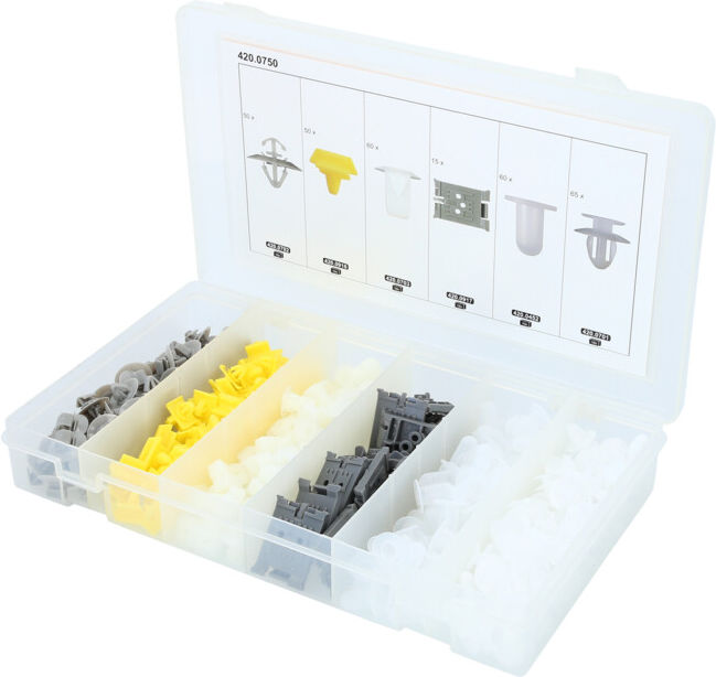 KS Tools Jeu de clips de fixation - Renault, 300 pcs (420.0750)