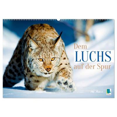 Dem Luchs auf der Spur (Wandkalender 2026 DIN A2 quer), CALVENDO Monatskalender
