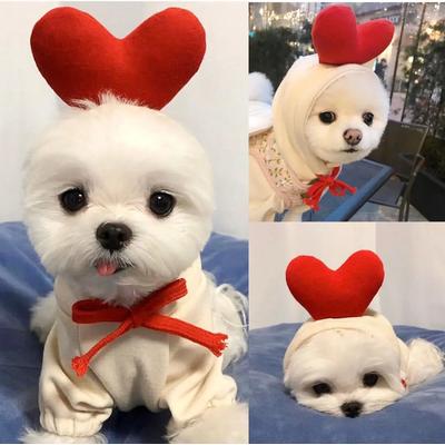 Uplifted Goods Plush Cartoon Fruit Pet Winter Fleece heart l