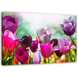 LEINWANDBILD Bunte Tulpen auf einer Wiese 90x60cm