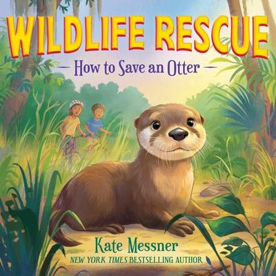 How to Save an Otter - Kate Messner, Audio, 9781547621385