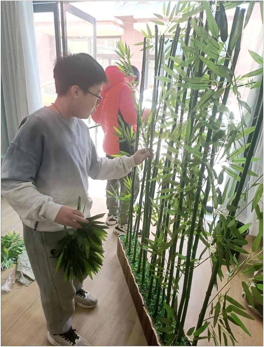 Realistische kunst bamboe plant in het groen, decoratieve boom ter ruimteverdeling, Hoogte: 2 meter