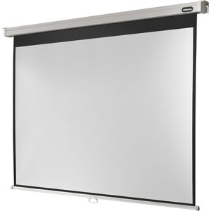 Celexon Beamer-Leinwand Rollo Professional, 98 Zoll, 194 x 146 cm, Format 4:3, Rolloleinwand