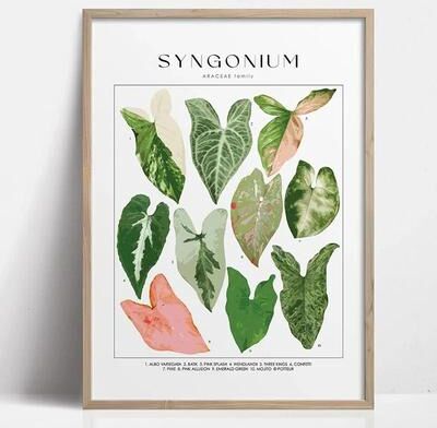 Uplifted Finds Botanical Green Houseplant Canvas Art   Calming Nature Indoors Interior Print 18 20 X 30 Cm