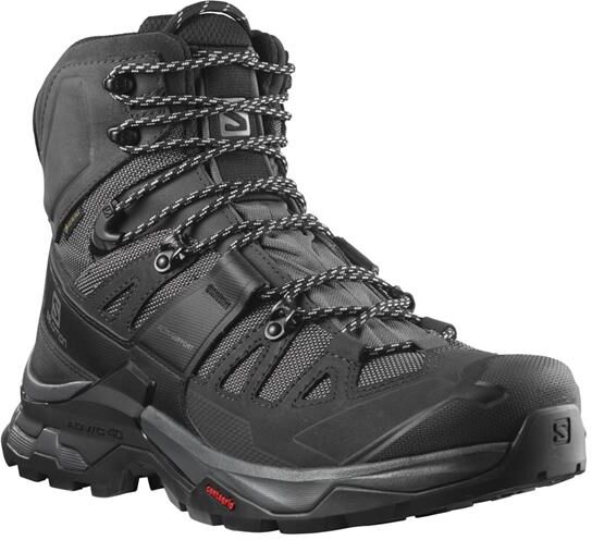 Salomon Quest 4 GTX Mens, Magnet / Black 38,5