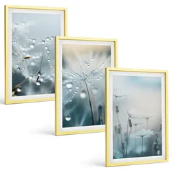 BILDER SET 3er Set - 40x60 cm Goldrahmen - Tautropfen auf Löwenzahn