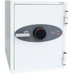 Phoenix, Tresor, Data Combi DS2501F (63 l)