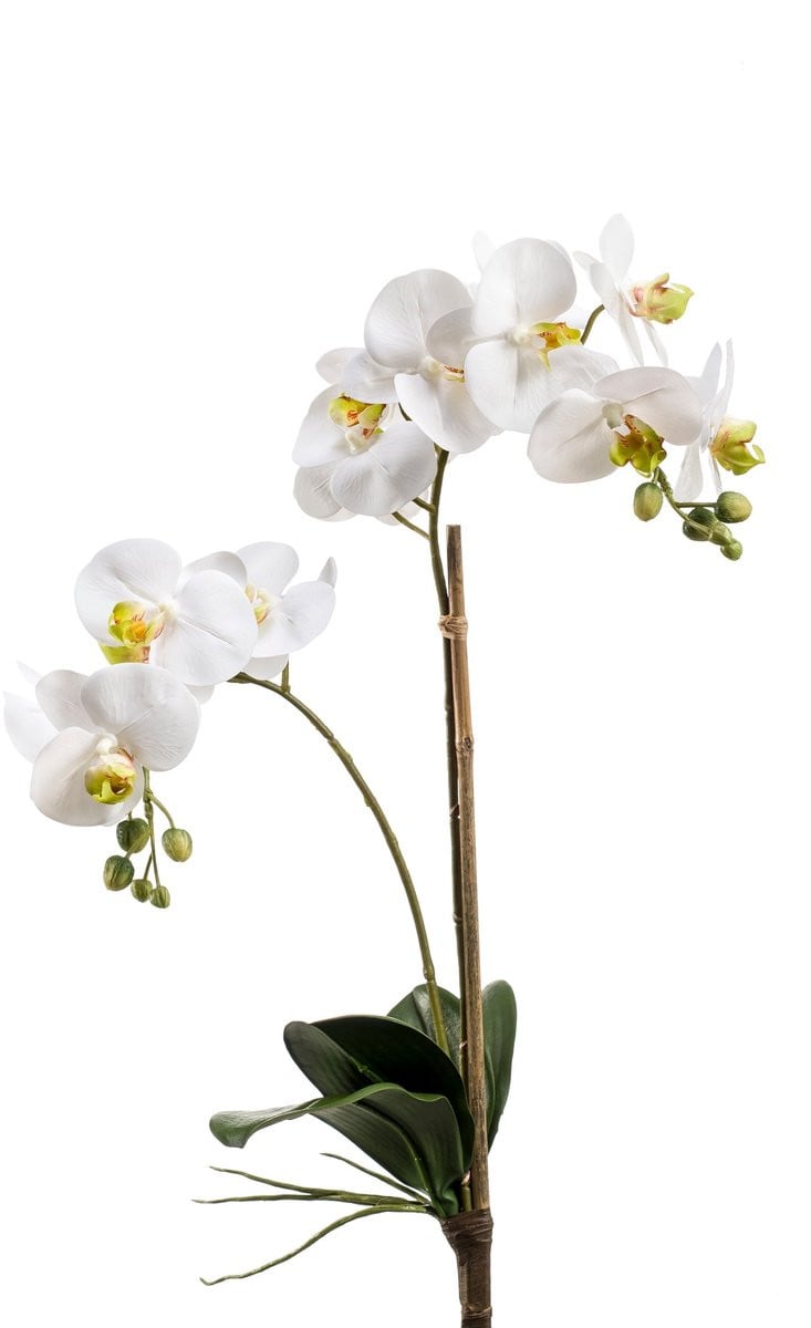 Emerald Kunstplant Phalaenopsis Wit - 65 cm