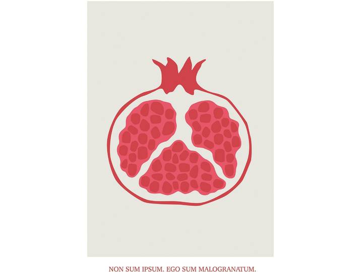 Bild KOMAR Cultivated Pomegranate , rot (farbe bild(er): rot), B:30cm H:40cm, Holz, Papier, Bilder, Bild, Wandbild zur Dekoration - ohne Rahmen