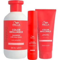 650ml Wella Professionals Invigo Color Brilliance Special Set (Shampoo 300ml + Conditioner 200ml + Spray 150ml)