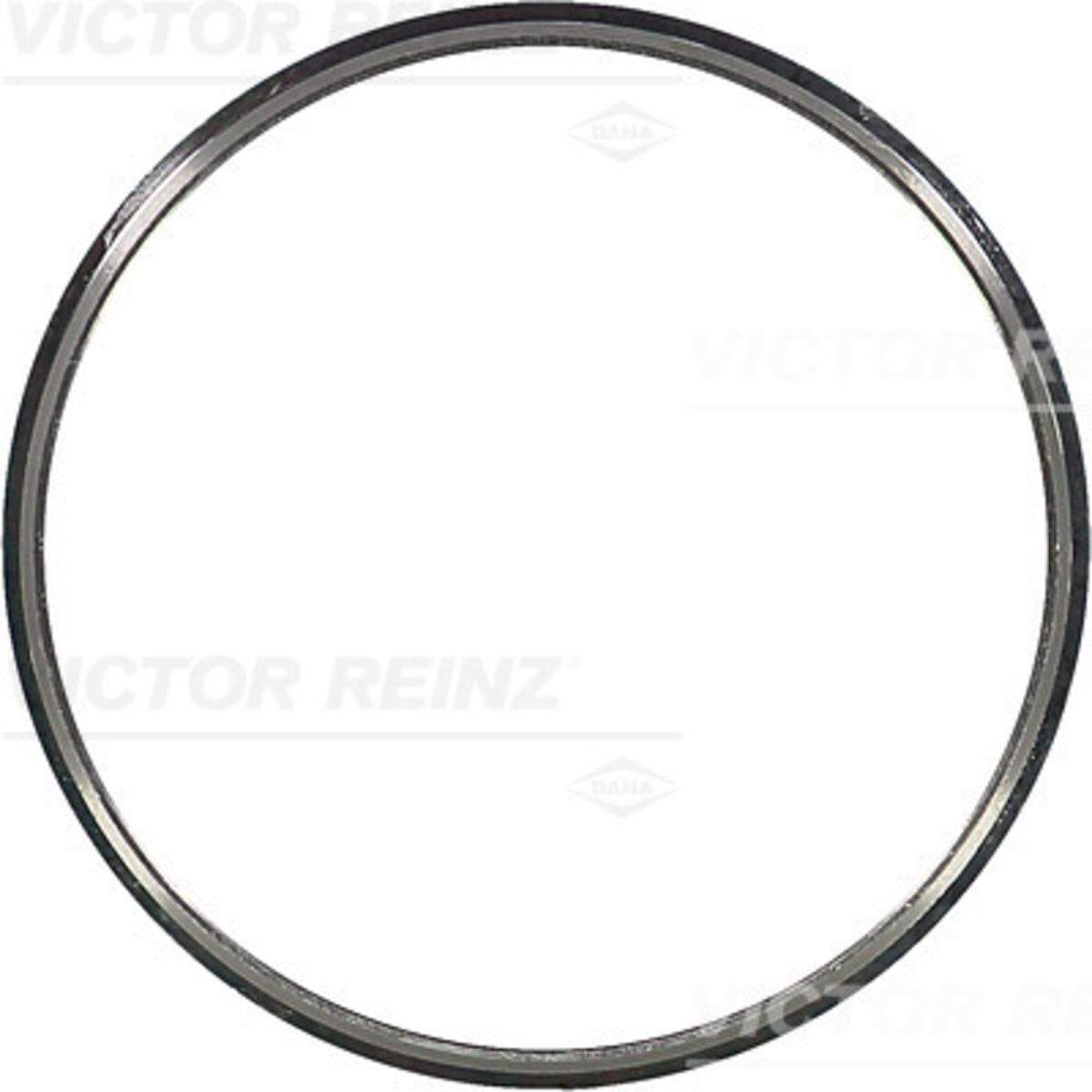 Victor Reinz Guaina, albero a gomiti REINZ 71-31304-00