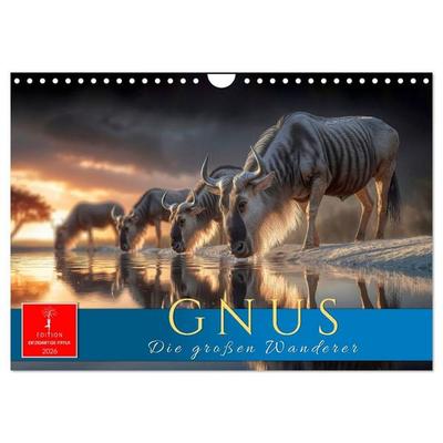 Gnus - die großen Wanderer (Wandkalender 2026 DIN A4 quer), CALVENDO Monatskalender