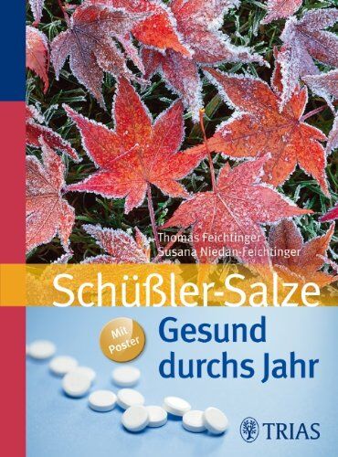 Thomas Feichtinger - Schüßler-Salze: Gesund durchs Jahr - Preis vom 14.10.2026 23:07:16 h
