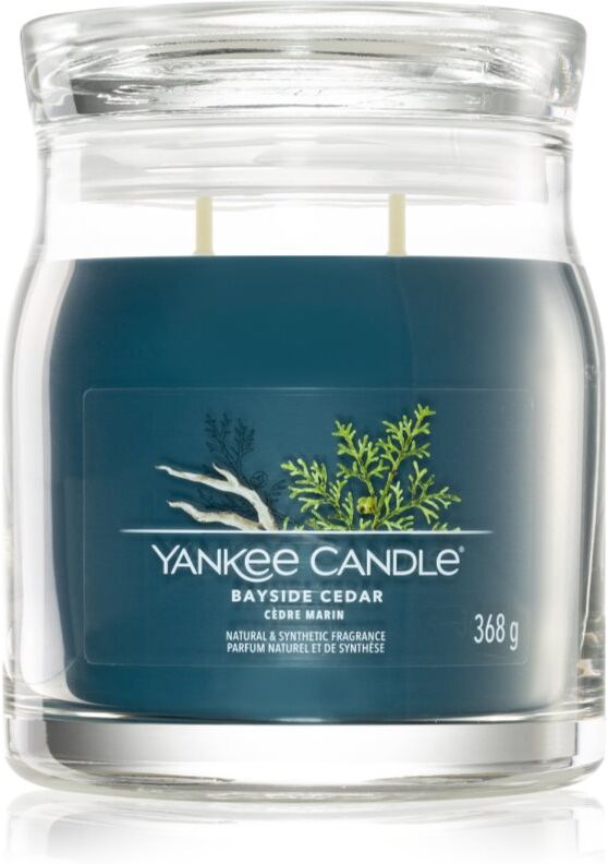 Yankee Candle Bayside Cedar scented candle 368 g