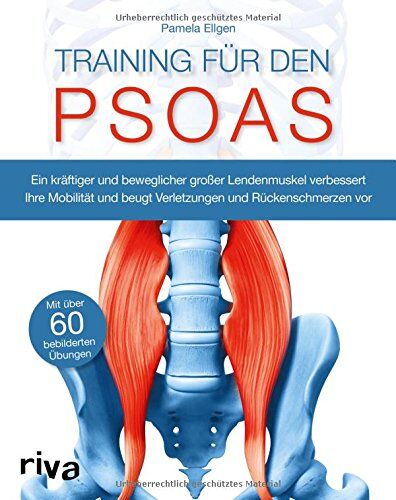 Pamela Ellgen - Training für den Psoas: Ein kräftiger und beweglicher großer Lendenmuskel verbessert Ihre Mobilität und beugt Verletzungen und Rückenschmerzen vor - Preis vom 14.10.2026 23:07:16 h