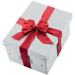 LEITZ Click & Store Aufbewahrungsbox 16,7 l - weiß