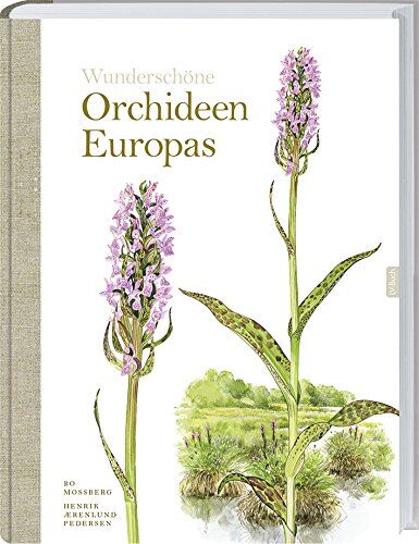 Bo Mossberg - Orchideen Europas - Preis vom 09.10.2026 07:28:09 h